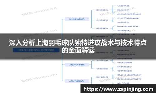 深入分析上海羽毛球队独特进攻战术与技术特点的全面解读